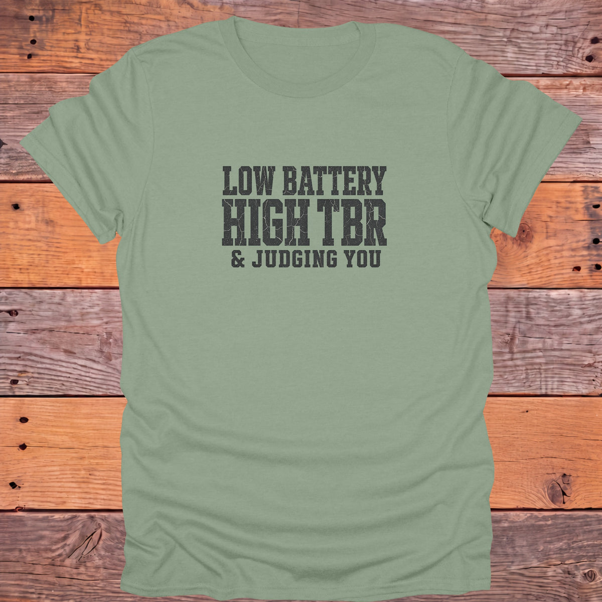 Low Battery High TBR Judging You Bookish T-Shirt - Sage