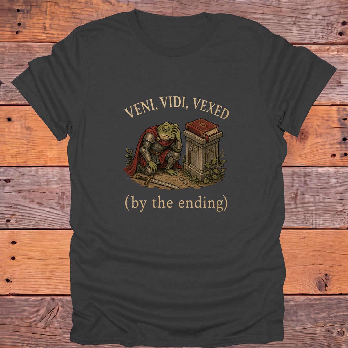 Veni Vidi Vexed by the Ending Bookish T-Shirt - Charcoal